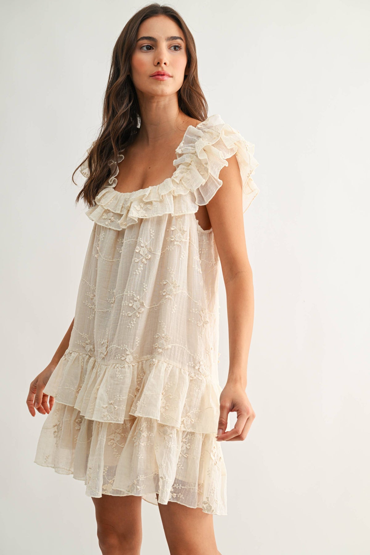 Ruffled Embroidered Tiered Dress
