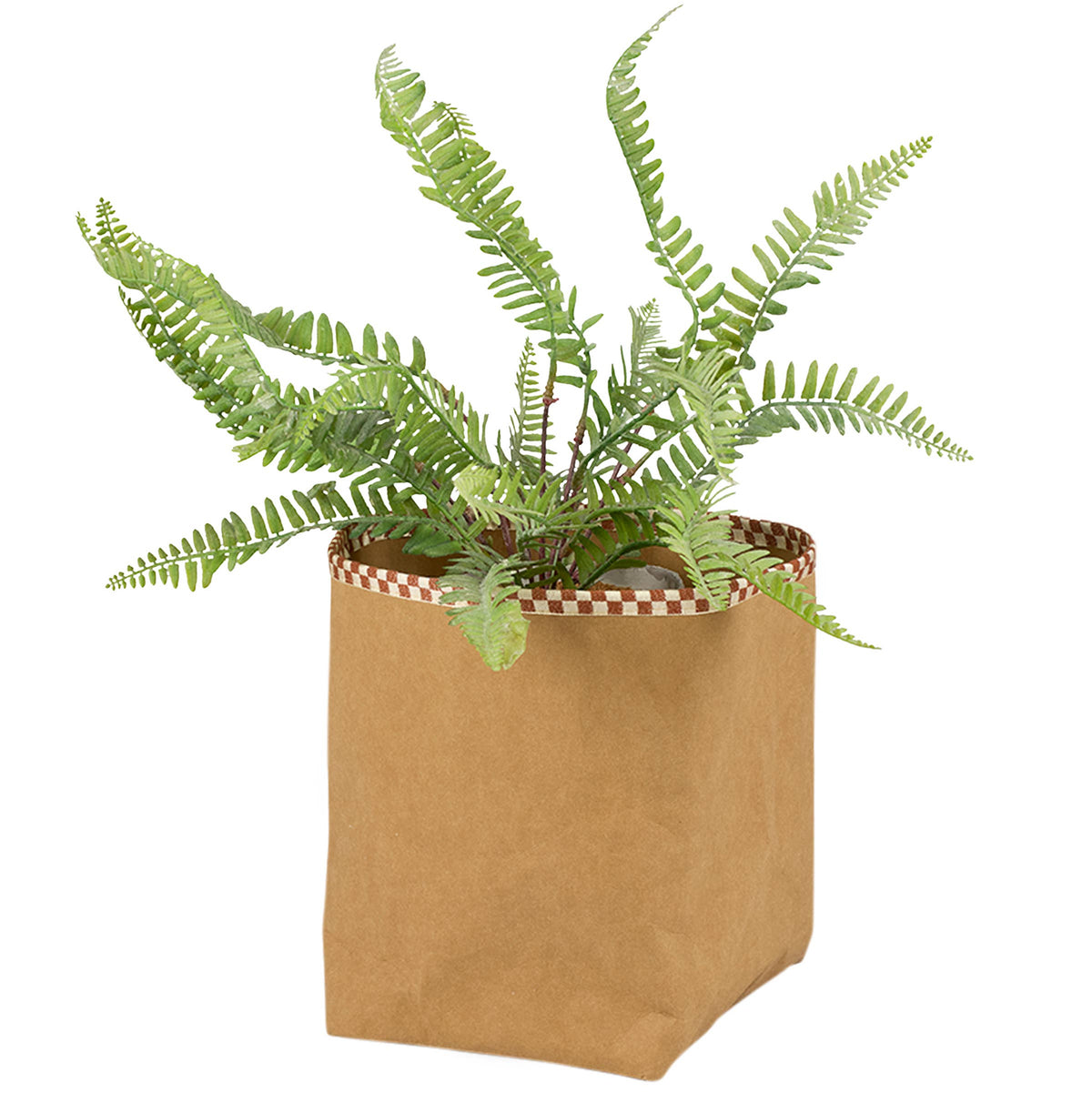 Paper Bag Plant Cover
