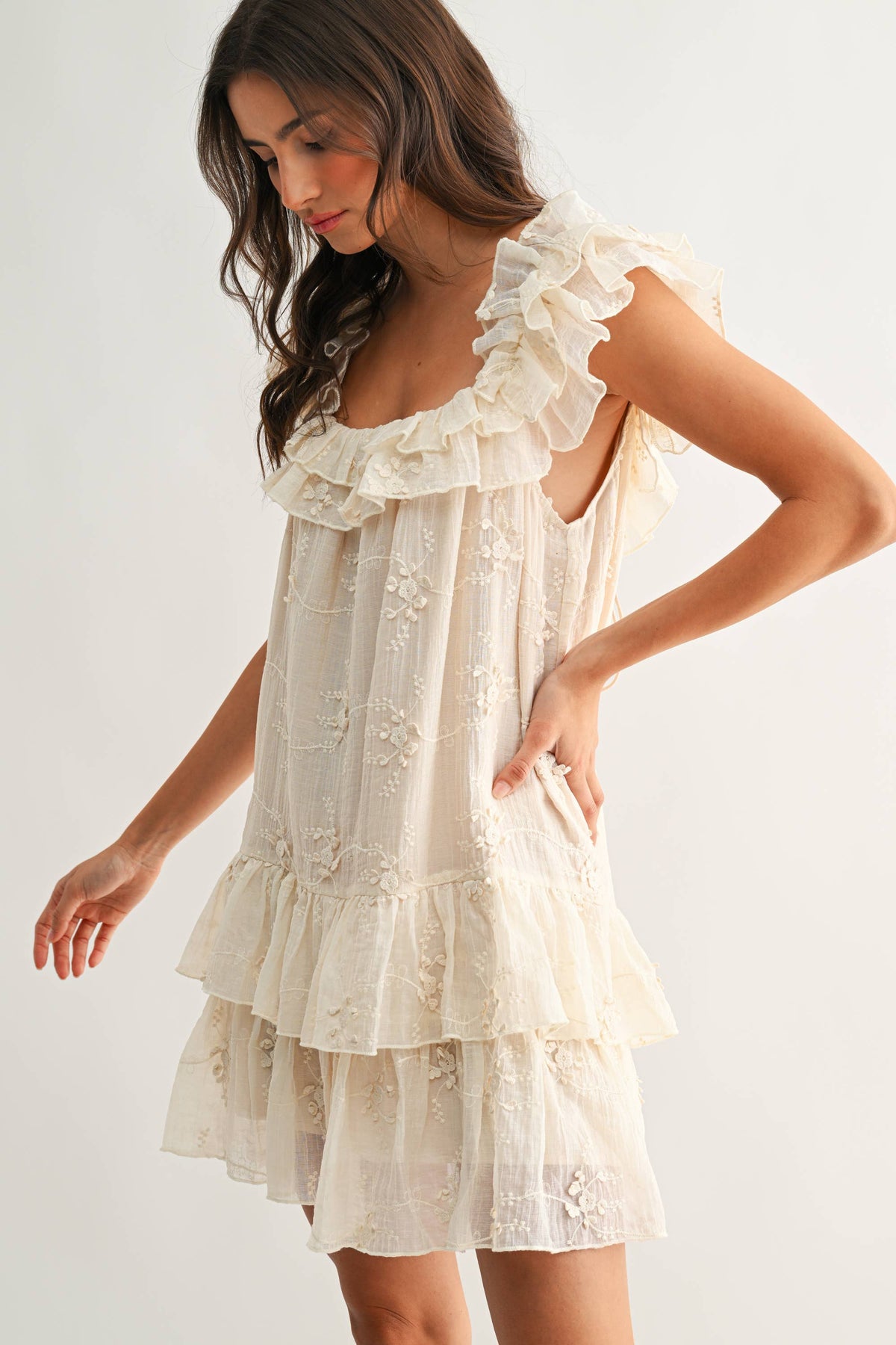 Ruffled Embroidered Tiered Dress
