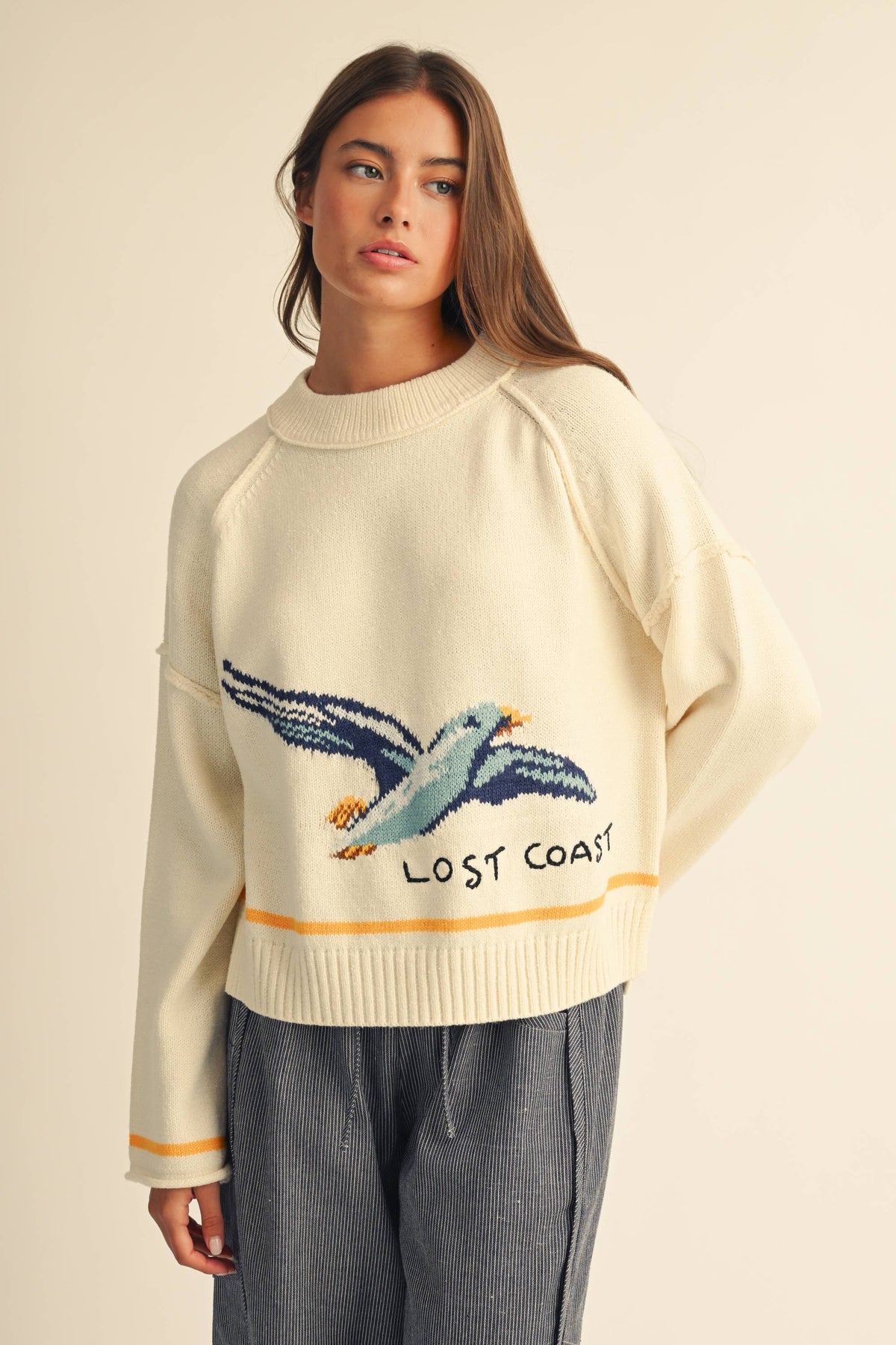 Coastal Seagull Graphic Sweater