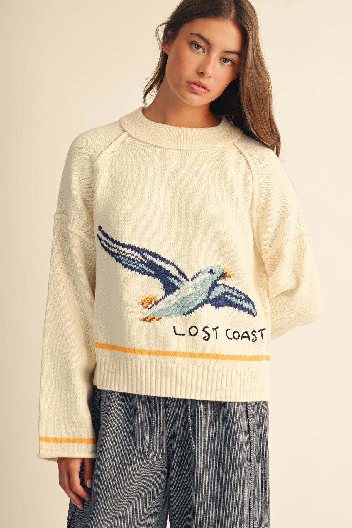 Coastal Seagull Graphic Sweater