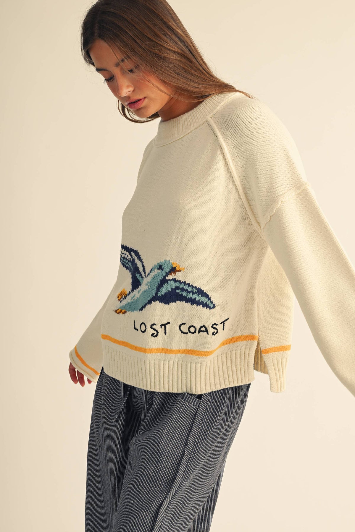 Coastal Seagull Graphic Sweater
