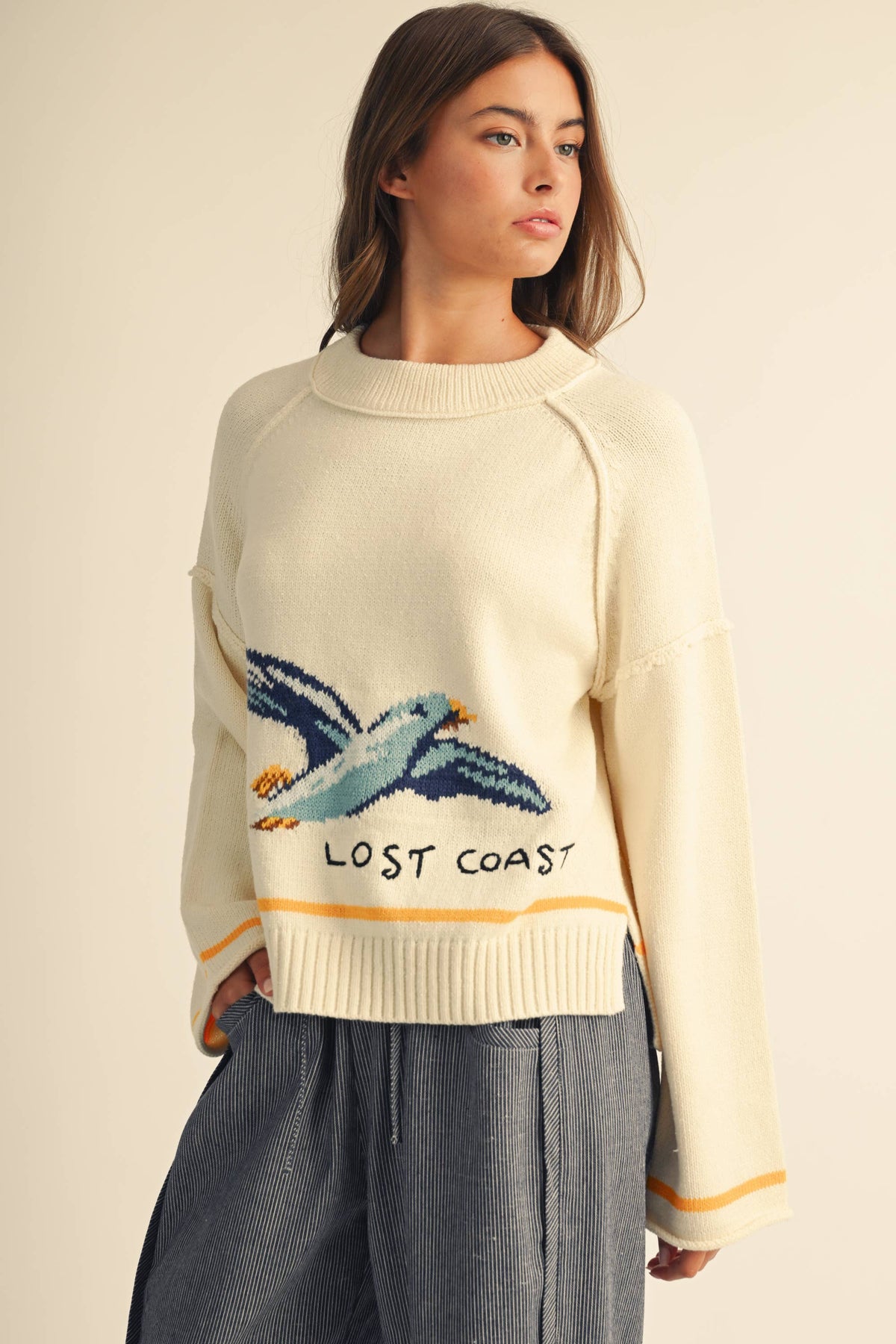 Coastal Seagull Graphic Sweater