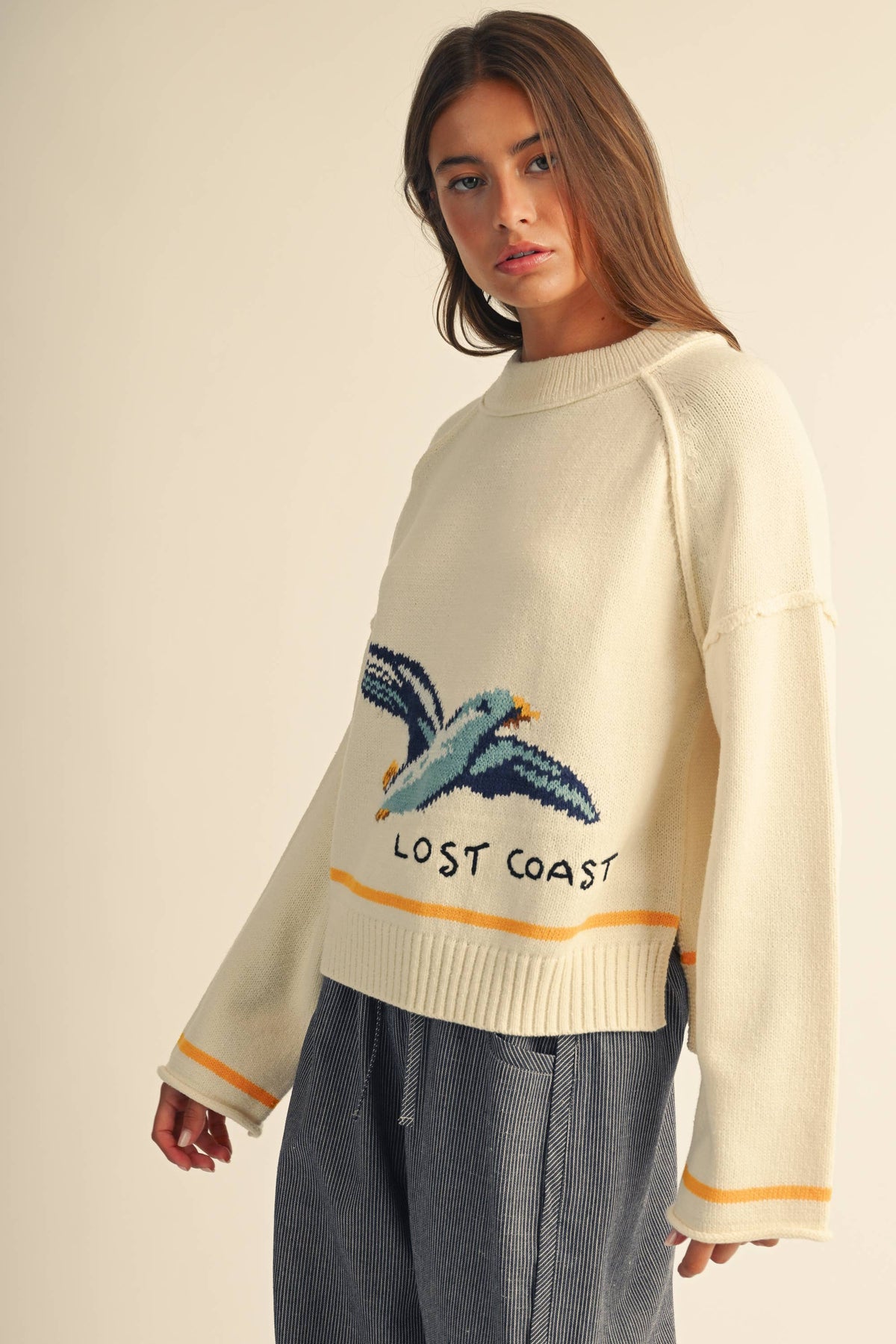 Coastal Seagull Graphic Sweater