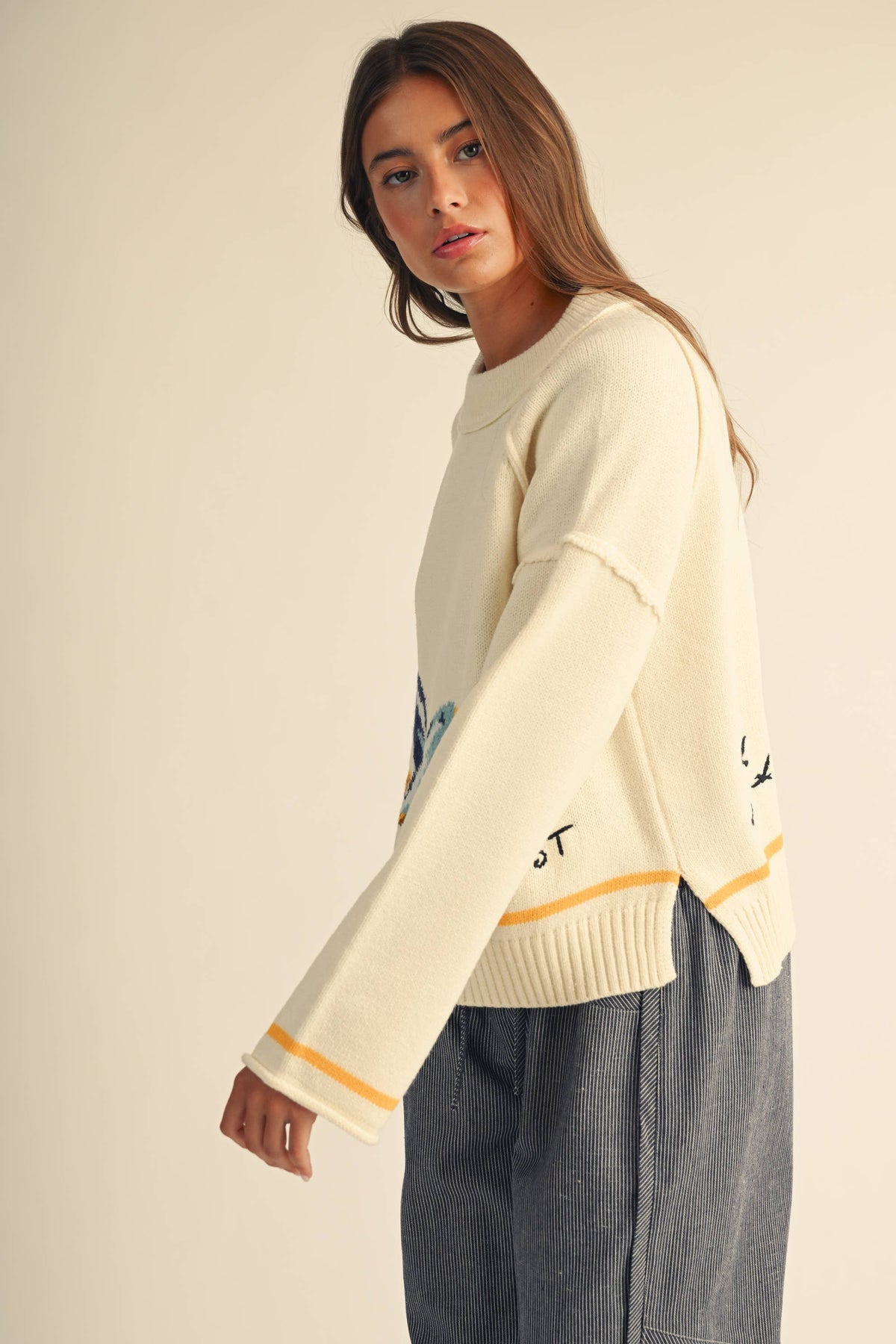 Coastal Seagull Graphic Sweater