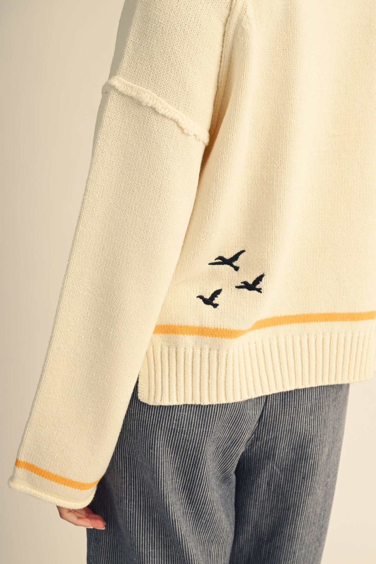 Coastal Seagull Graphic Sweater