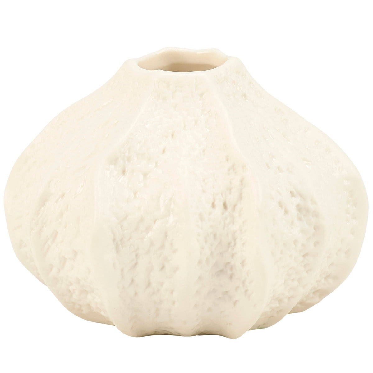 Small Sea Urchin Vase