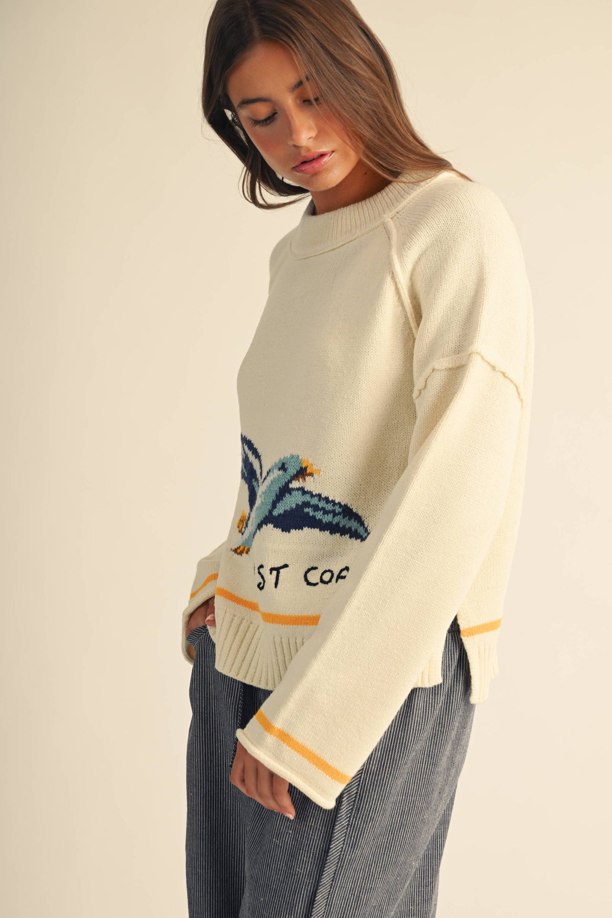 Coastal Seagull Graphic Sweater