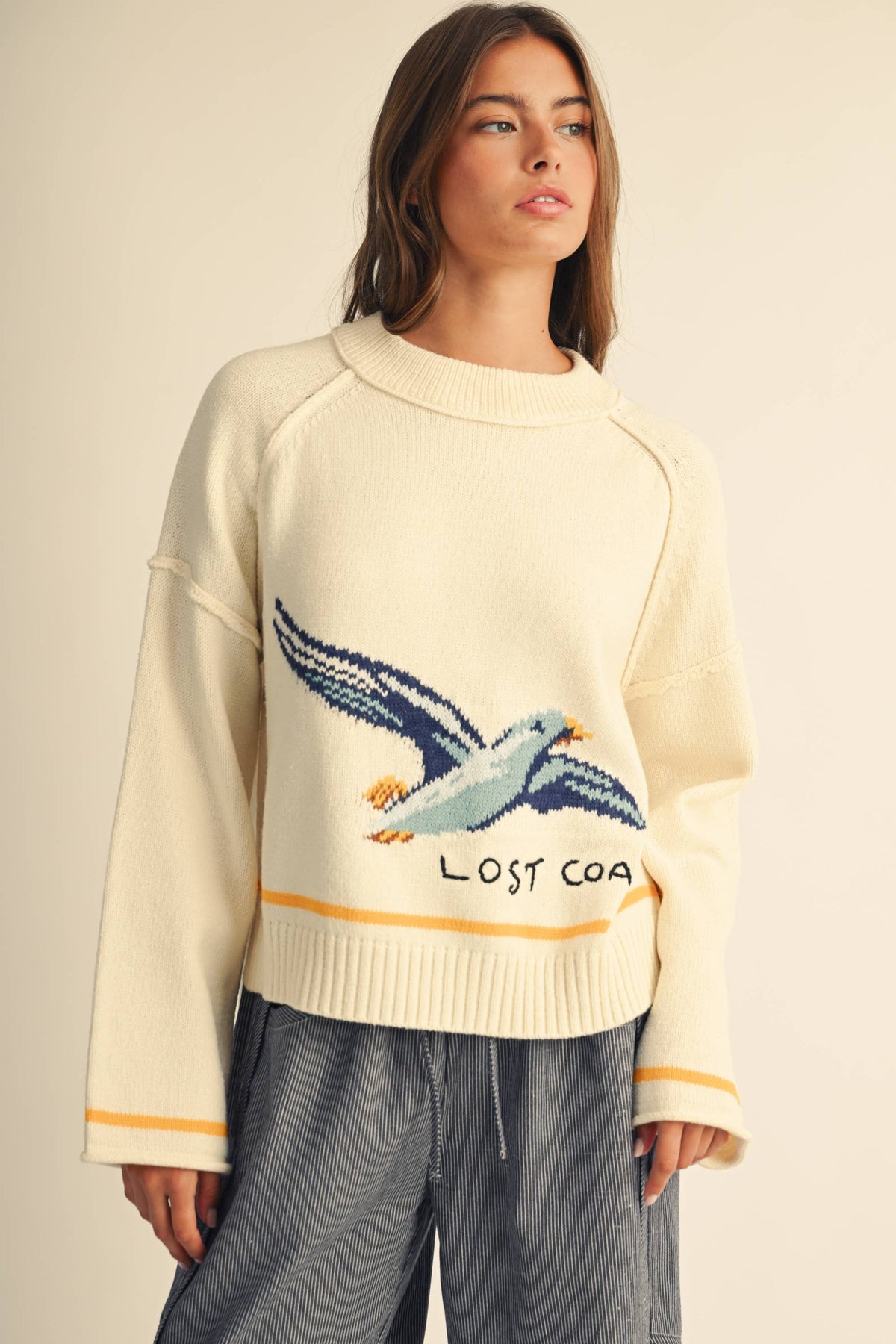 Coastal Seagull Graphic Sweater