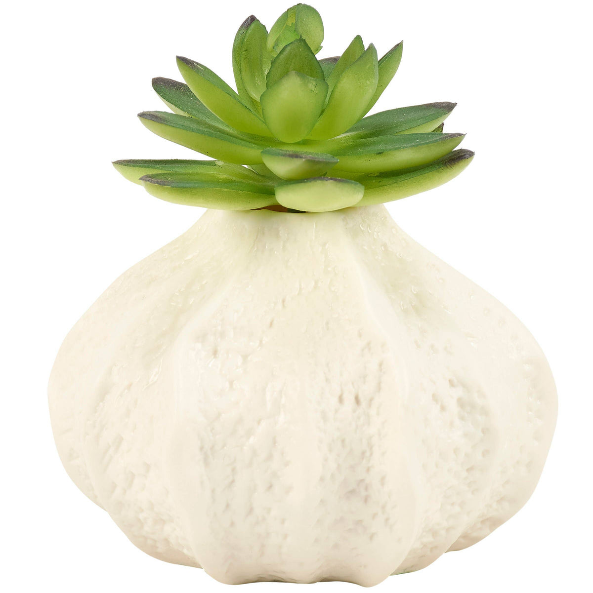 Small Sea Urchin Vase
