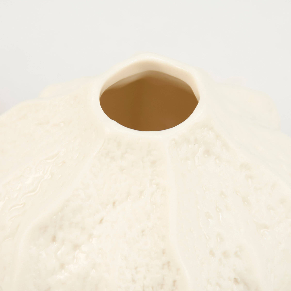 Small Sea Urchin Vase
